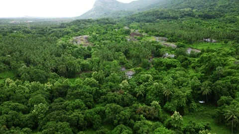 Palakkad Stock Footage 315065307