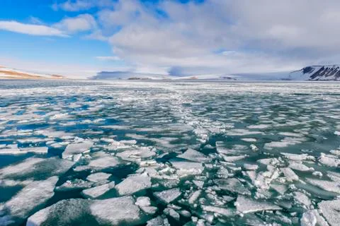 Palanderbukta Bay Pack ice pattern Gustav Adolf Land Nordaustlandet Svalbard 写真素材