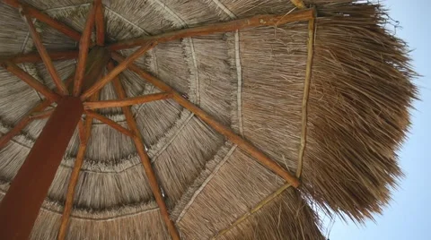 Palapa Background Stock Footage 40557961