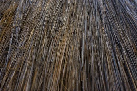 Palapa close up texture Stock Photos