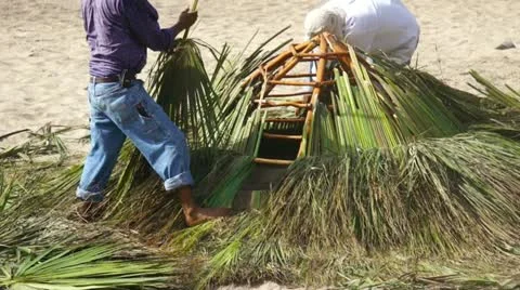 Palapa construction Stock Footage 12523533