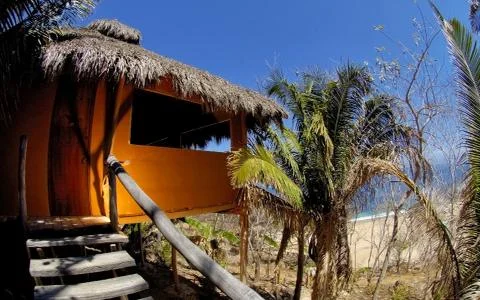 Palapa Stock Photos