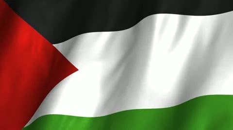 Palastine Waving Flag Stock Footage 12318125
