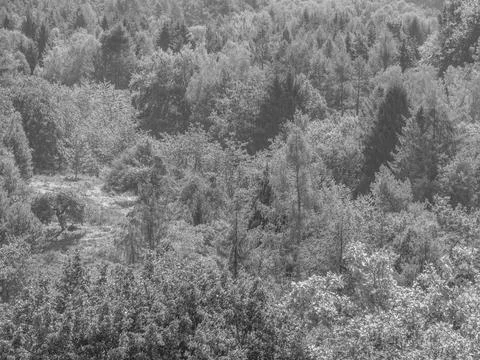 The palatinade in germany Foto stock