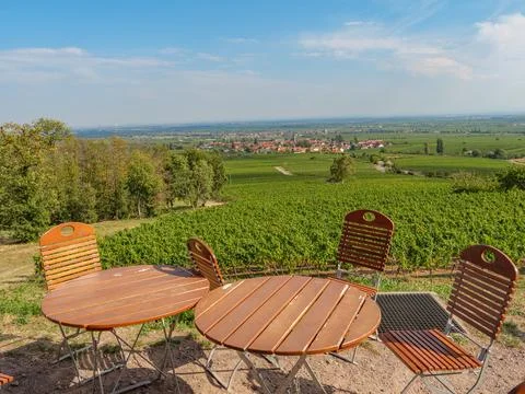 The palatinade in germany 스톡 사진