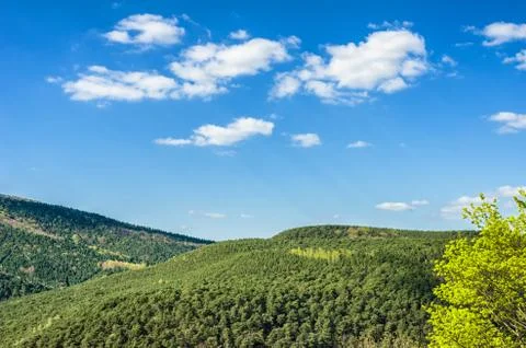 Palatinate Forest Stock Photos