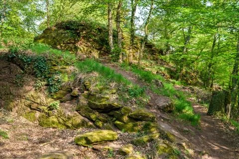 The Palatinate Forest in spring. Germany Foto stock