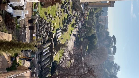Palatine Hill in Rome - panoramic view in vertical orientation Stock Footage 124953699
