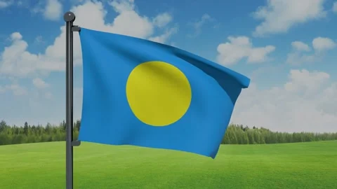 Palau Flag Video stock 153255444