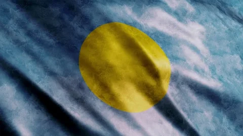 Palau Flag Grunge Stock Footage 249037572
