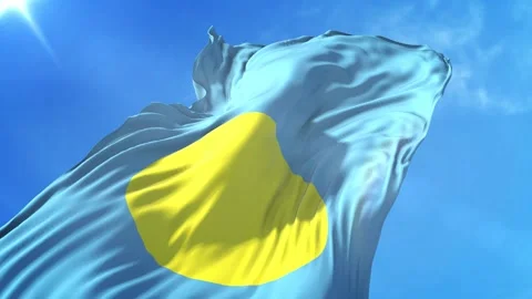Palau Flag Low Angle View Stock Footage 295694727