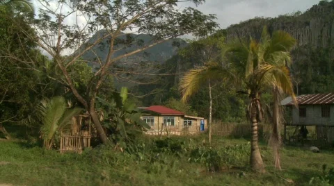 Palawan beside the road 5 Stock Footage 492353