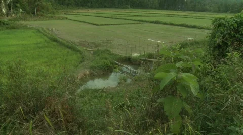 Palawan fields and mountains 2 Stock Footage 492248