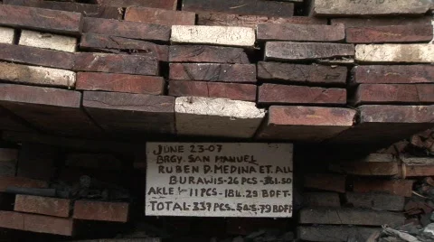 Palawan illegal logging 2 Stock Footage 498810