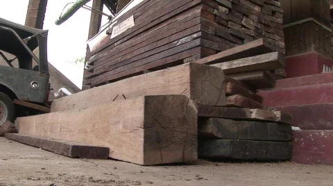 Palawan illegal logging 3 Stock-Footage 498798