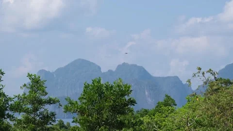 Palawan Limestone Karst Landscape with Flying Birds Stock Footage 337948062