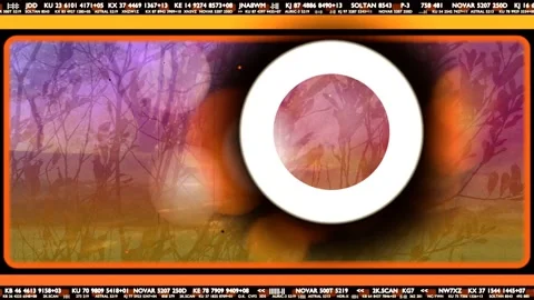 Pale bokeh appearing orange frame showing flares sliding while white ring Stock Footage 340674715