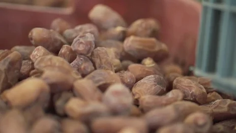 Pale dates thrown in the crate Stock Footage 79736738