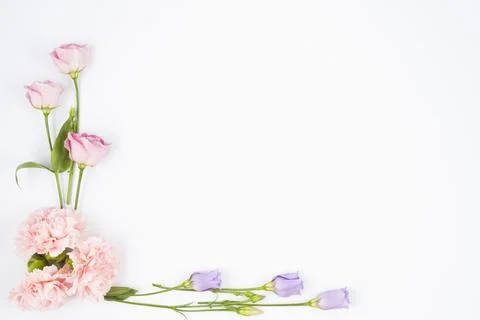 Pale flowers framing corner . High quality and resolution beautiful photo c.. Stock Photos