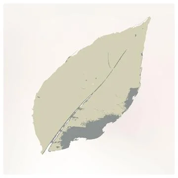 Pale Green Leaf with Grey Shadow Isolated Stock Illustration