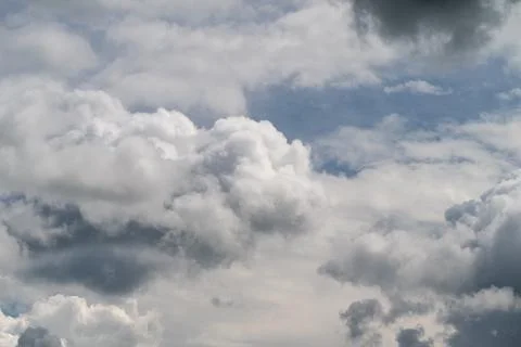 Pale layered clouds form subtle texture, soft gray tones, diffuse light, mu.. Foto stock