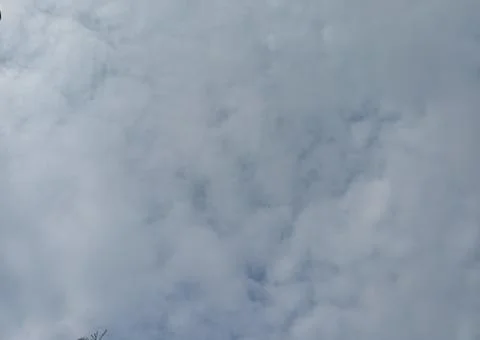 Pale misty cloudscape Foto stock