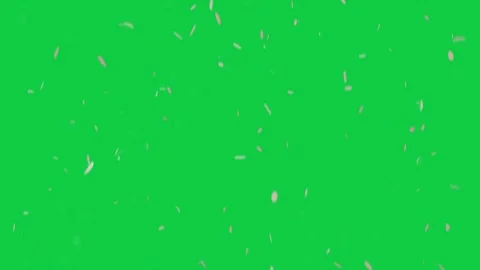 Pale petals and sequins drifting rotating after motion start, forming overlay on Stock Footage 337506279