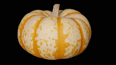 Pale Pumpkin Rotating Fast, Black BG, Motion Control, Halloween, Commercial Stock Footage 140154611