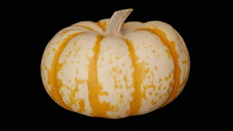 Pale Pumpkin Rotating Slow, Black BG, Motion Control, Halloween, Commercial Stock Footage 140154764