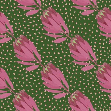 Pale purple hand drawn protea flowers seamless pattern. Green dotted backgrou Illustrazione stock
