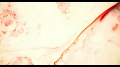 Pale red paint flowing gently through white liquid medium Stock Footage 329754434