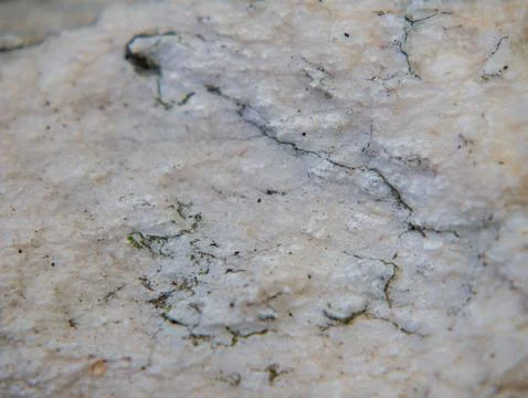 Pale stone surface texture with natural cracks and detail Foto stock