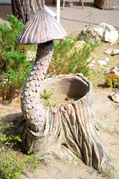 Pale toadstool on the stump.	 Stock Photos