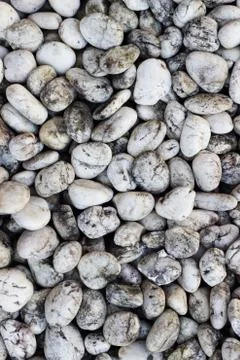 Pale white river stone background Stock Photos