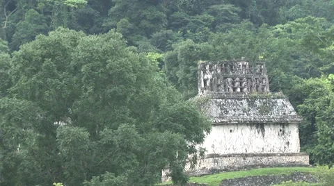 Palenque Vídeo Stock 7756821