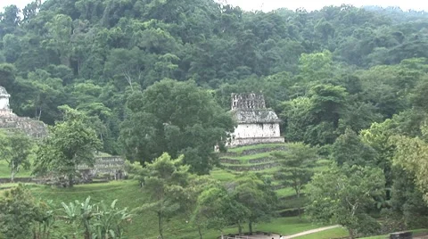 Palenque Vídeo Stock 7756824
