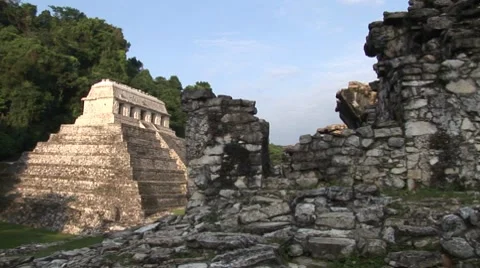 Palenque Vídeo Stock 7756829
