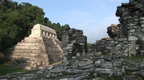 Palenque Vídeo Stock 7756830