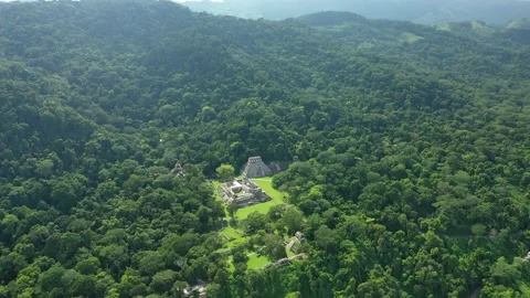 Palenque Pyramids Cinematic Drone View of Site in Mexico 4K Stock Footage 145604767