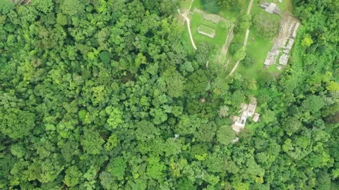 Palenque Pyramids Overhead Drone Clip of Entire Site 4K Stock-Footage 145606566