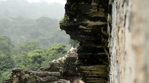 Palenque ruins in rain 動画素材 10564402