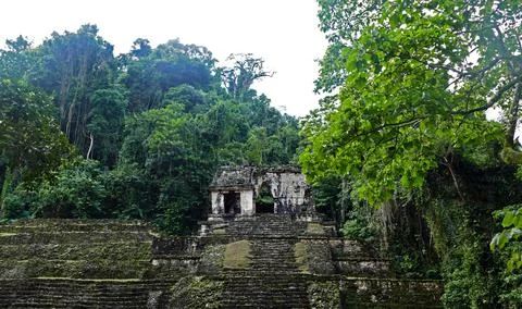 Palenque_Ruins Stockfoto's