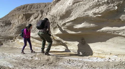 Paleontological Research Stock Footage 44353105