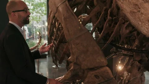 Paleontologist explaining a dinosaur skeleton exhibit Video stock 343319121