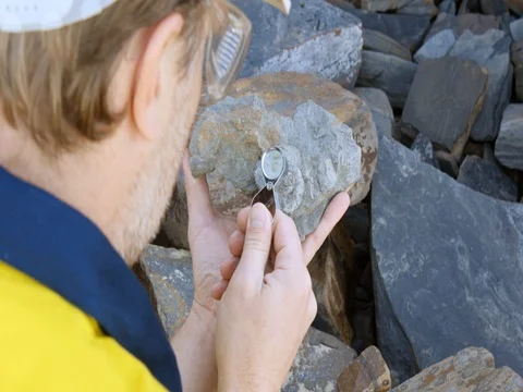 Paleontologist working in the field of paleontology looking at fossil  Stock Footage 78588853