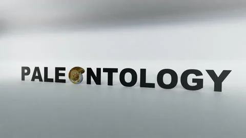 PALEONTOLOGY Stock Footage 165726003