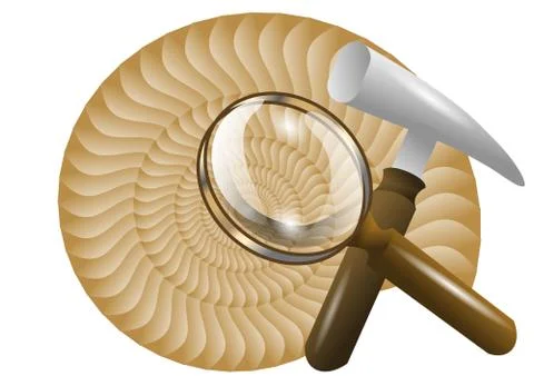 Paleontology Stock Illustration