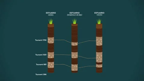 Paleoseismogram Illustration Stock Footage 263166268