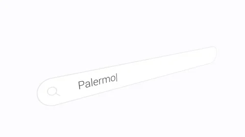 Palermo Typed Into The Search Field. Close-up Shot Stock Footage 334728710
