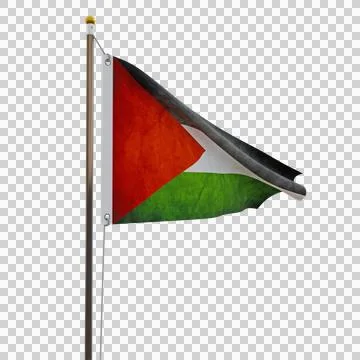 Palesstinian flag isolated on transparent background 스톡 일러스트